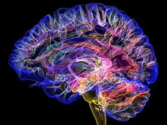 3P乱伦视频大脑植入物有助于严重头部损伤恢复